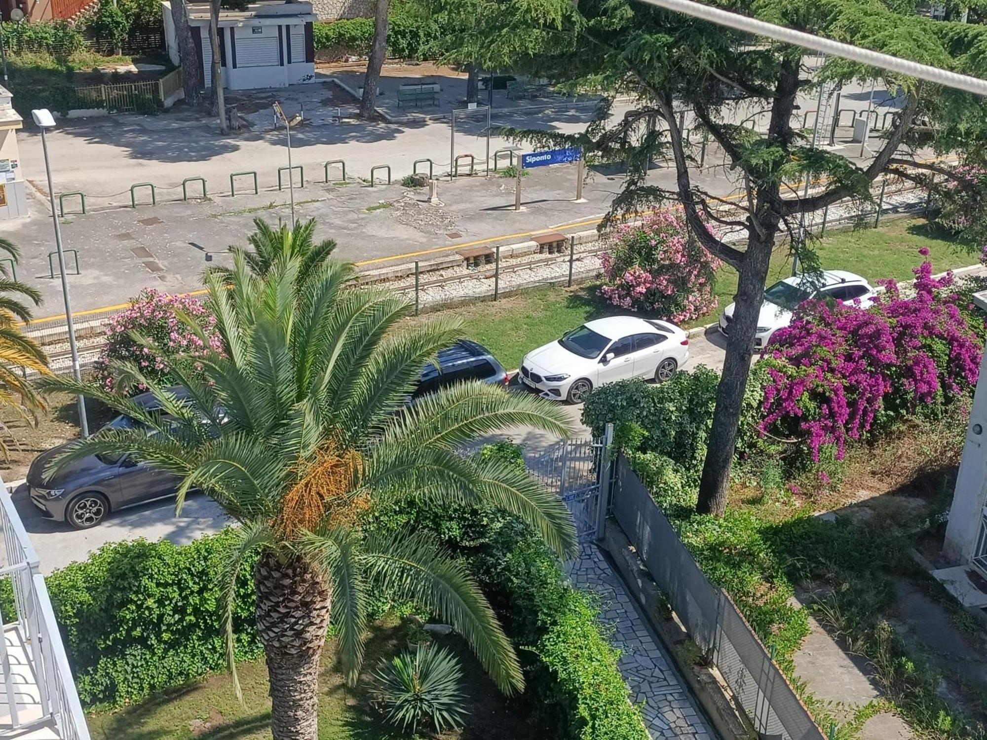 The Family Nest - Casa Eva Daire Manfredonia Dış mekan fotoğraf